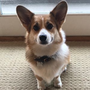 Meet your Posher, Hisano